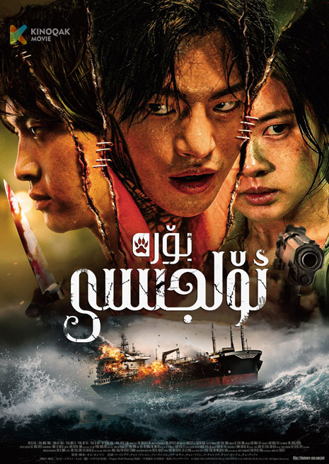 بۆرە ئولجىسى