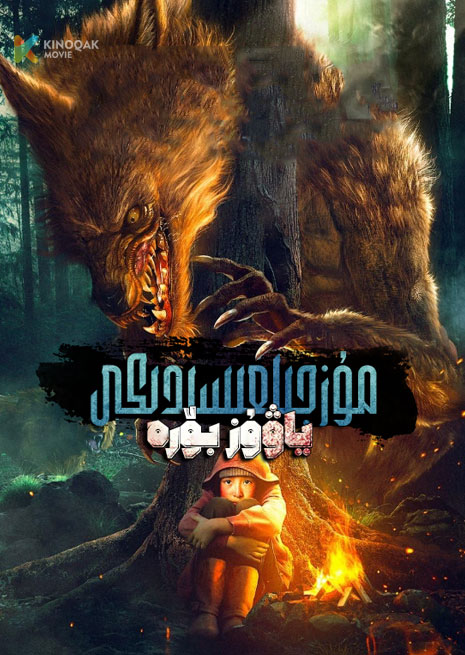 مۇز جىلگىسىدىكى ياۋۇز بۆرە