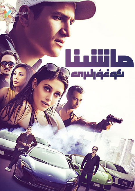 ماشىنا ئوغۇرلىرى