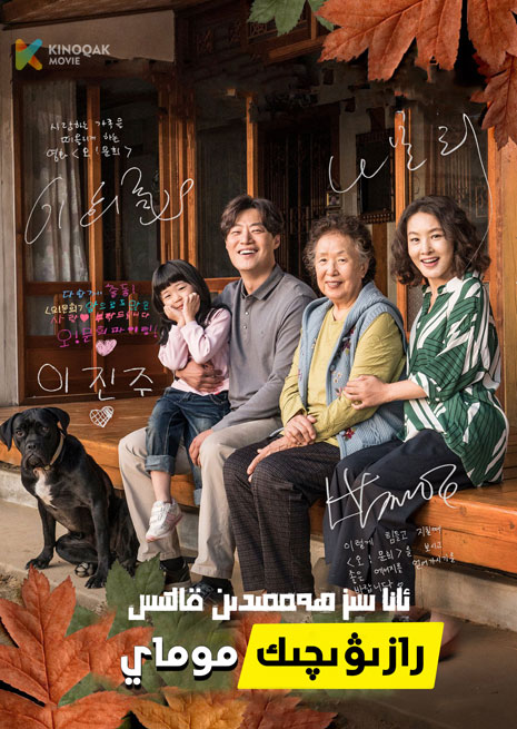 رازىۋىچچىك موماي