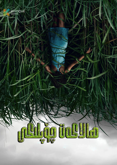 ھالاكەت چۆپلىكى