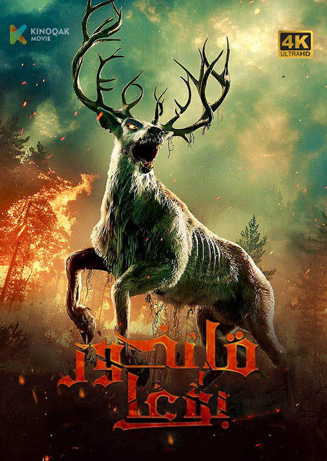 قانخور بۇغا | 4K