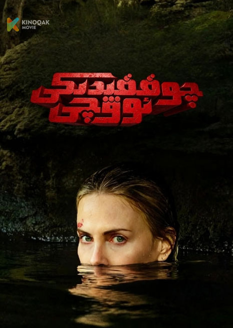 چوققىدىكى ئوۋچى