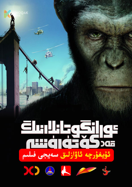 ئوران گۇتانلارنىڭ قەد كۆتۈرۈشى 1 | 2011 | Xjtv
